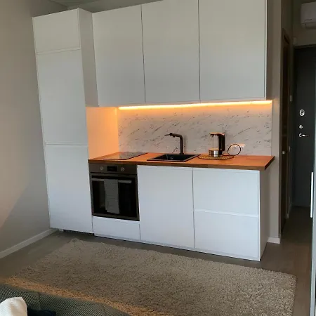 Vieno Kambario Butas-studija Apartment Palanga