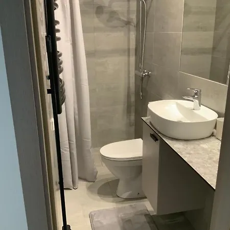 Vieno Kambario Butas-studija Apartment