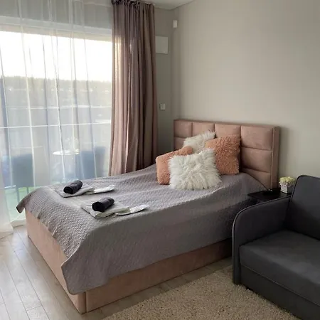Apartment Vieno Kambario Butas-studija *